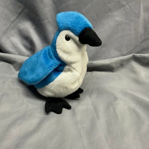Rocket the Blue Jay