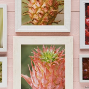 Ananas Martinique, fruit exotique / ensemble de photographies pour impression galerie d'art sur mesure nature vacances voyage déco exotique