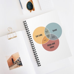 Grappige venn-diagram spiraal notebook - geregeerde lijn, grafiekgegevens humor, gegevensanalist, gegevensnerd, Excel-meme, boekhoudingscadeau, werk beste cadeau