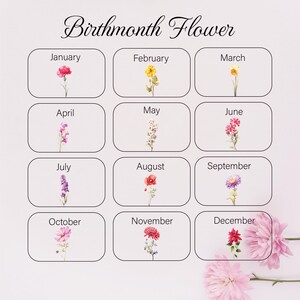 Pu&ograve; includere: Un grafico che mostra il fiore di nascita per ogni mese dell'anno. I fiori sono illustrati in stile acquerello. Gennaio: Garofano, Febbraio: Viola, Marzo: Narciso, Aprile: Pisello odoroso, Maggio: Mughetto, Giugno: Rosa, Luglio: Delphinium, Agosto: Papavero, Settembre: Aster, Ottobre: Cosmos, Novembre: Crisantemo, Dicembre: Stella di Natale.