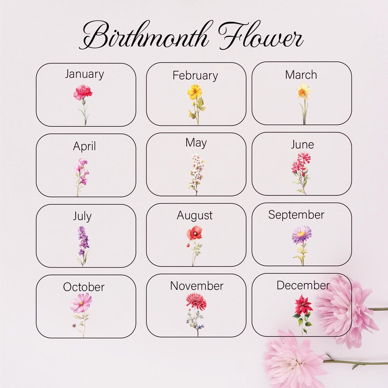 Pu&ograve; includere: Un grafico che mostra il fiore di nascita per ogni mese dell'anno. I fiori sono illustrati in stile acquerello. Gennaio: Garofano, Febbraio: Viola, Marzo: Narciso, Aprile: Pisello odoroso, Maggio: Mughetto, Giugno: Rosa, Luglio: Delphinium, Agosto: Papavero, Settembre: Aster, Ottobre: Cosmos, Novembre: Crisantemo, Dicembre: Stella di Natale.