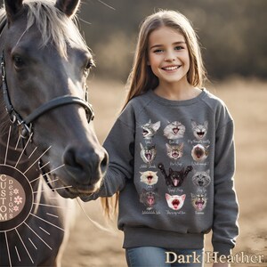 May include: A dark heather grey sweatshirt with a print of various cats with different expressions and text. The text includes "Yippee!", "Back off", "My thoughts exactly", "All I want", "No Way", "Is that enough!", "Eeeeek", "Happy Hugs", "Hey Ya", "Lalalalalala lala", "This is my cat face", "Loooooove".