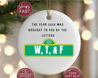 Funny Christmas WTF 2025 Ornament, Sarcastic 2025 Ornament Christmas Keepsake Gift, Pro-Democracy Ornament Keepsake Gift Idea, Adult Humor