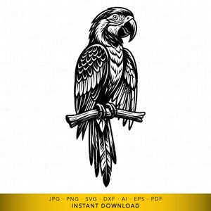 May include: Black and white illustration of a parrot perched on a branch. The parrot is depicted in a detailed, stylized manner, with intricate feather patterns and a curved beak. The image is a digital download.