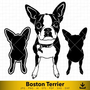 Boston Terrier svg, Dog svg, Dog Silhouette, Puppy svg, Boston Terrier dxf, American Dog svg, Vector File for Cutting and Engraving