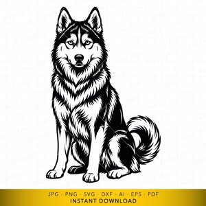 May include: Black and white illustration of a sitting Siberian Husky dog. The dog has a fluffy coat, pointed ears, and a curled tail. The image is a digital design, suitable for various applications.