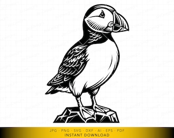 Atlantic Puffin SVG, Puffin Bird Vector File, Seabird Standing on Rock for Cricut and Laser Engraving