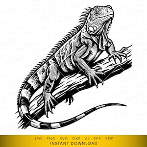 May include: Black and white illustration of an iguana perched on a branch. The iguana has detailed scales and a spiky dorsal crest. The image is a digital download, as indicated by the text at the bottom.