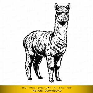Puede incluir: Ilustración en blanco y negro de una alpaca de pie sobre un fondo blanco. La alpaca está orientada hacia adelante, con pelaje detallado y una expresión sonriente. La parte inferior de la imagen incluye texto que indica formatos de archivo para descarga instantánea.