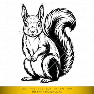 May include: A black and white graphic illustration of a squirrel in a seated position, featuring detailed fur textures, pointed ears, and a large, bushy tail. The design is presented on a clean white background with a gold bar at the bottom.