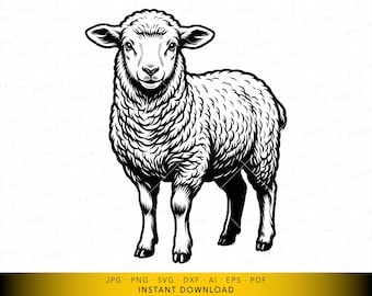 Sheep SVG, Farm Animal Standing Sheep Vector File, Detailed Wool Lamb Design for Cricut and Laser Engraving