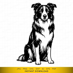 Op de afbeelding: Een zwart-wit illustratie van een Border Collie hond in zittende positie. De hond heeft een pluizige vacht, met zwart haar op zijn rug en hoofd, en wit haar op zijn borst en poten. Digitale download.