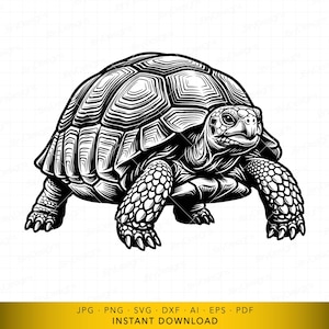 May include: A black and white graphic illustration of a tortoise shown from a side profile. The design features detailed line work on the shell, textured skin on the legs, and a clear view of the head and claws, presented on a white background.