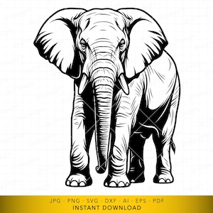 May include: A black and white illustration of an elephant facing forward. The elephant has large ears, a long trunk, and tusks. The image is a digital download, with file formats including JPG, PNG, SVG, DXF, AI, EPS, and PDF.