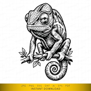 Puede incluir: Ilustración en blanco y negro de un camaleón posado en una rama. El reptil tiene escamas detalladas y ojos grandes, con la cola enrollada. La imagen es una descarga digital, disponible en varios formatos de archivo.