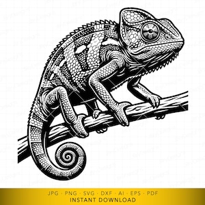 Puede incluir: Ilustración en blanco y negro de un camaleón posado en una rama. La imagen muestra la piel texturizada y el ojo del reptil. Incluye el texto "JPG PNG SVG DXF AI EPS PDF INSTANT DOWNLOAD".