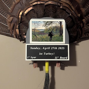 May include: A mounted turkey fan with a photo of a person in a field. A black sign reads "Sunday, April 27th 2025, 1st Turkey!" with measurements: "1" Spur" and "11" Beard". A yellow and black tassel hangs below.