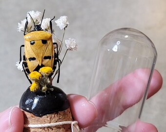 REAL Man Face Beetle mini glass dome cloche mounted to a mini crystal tower with assorted dried flowers.