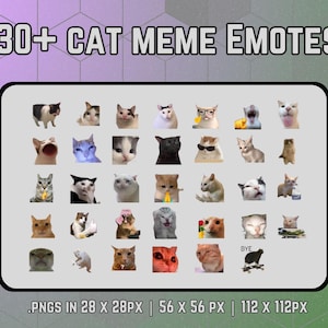 Paket med 30 roliga kattmemes-emotes för Twitch | Discord-emotes | Paket med roliga memes och Twitch-emotes