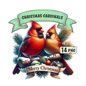 Pacchetto clipart di cardinali natalizi, 14 bellissimi cardinali natalizi con cartelli festivi, immagini PNG, sfondo trasparente, uso commerciale.