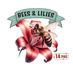 Paquete de imágenes prediseñadas de abejas y lirios, 14 hermosas abejas con lirios imágenes PNG con fondo transparente, uso comercial incluido.