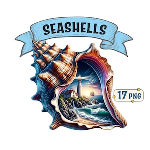 Paquete de imágenes prediseñadas de conchas marinas: 17 hermosas vistas con temas de playa dentro de conchas: imágenes PNG con fondo transparente, uso comercial incluido.