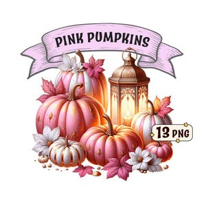 Pink Pumpkins-clipartbundel: 13 prachtige roze pompoenen met gouden en witte details, png-afbeeldingen, transparante achtergrond, commercieel gebruik