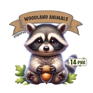 Paquete de imágenes prediseñadas de animales del bosque, 14 lindos animales bebés del bosque, imágenes PNG, fondos transparentes, diseños de sublimación, uso comercial.