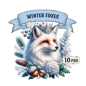 Bundle de cliparts renards hivernaux : 10 renards des neiges majestueux et mignons sur le thème de l'hiver, images PNG avec fond transparent, usage commercial.