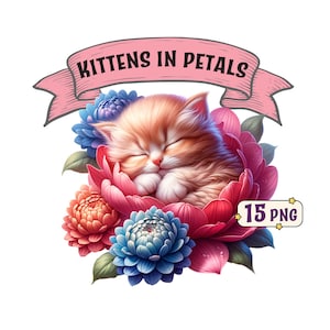 Paquete de imágenes prediseñadas de gatitos en pétalos: 15 lindos gatitos durmiendo en flores imágenes PNG con fondo transparente, uso comercial incluido.