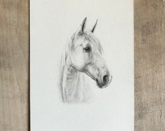 Horse Portrait Pencil Drawing | Original Horse Pencil Sketch | Handrawn Art | Horse Sketch | Original Artwork |