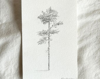 Kleiner Baum Bleistiftzeichnung | Original-Baum-Studienzeichnung | Handgeschöpfte Papierkunst | Mini-Baum-Skizze | Original-Kunstwerk |