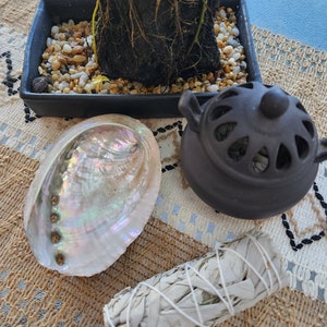 Abalone Shell, Smudge Bowl