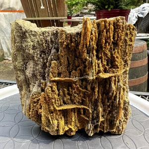 Crystallized Petrified Wood - FREE SHIPPING!
