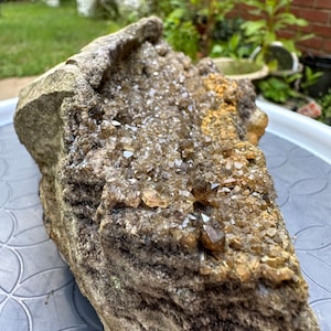 Crystallized Petrified Wood - FREE SHIPPING!