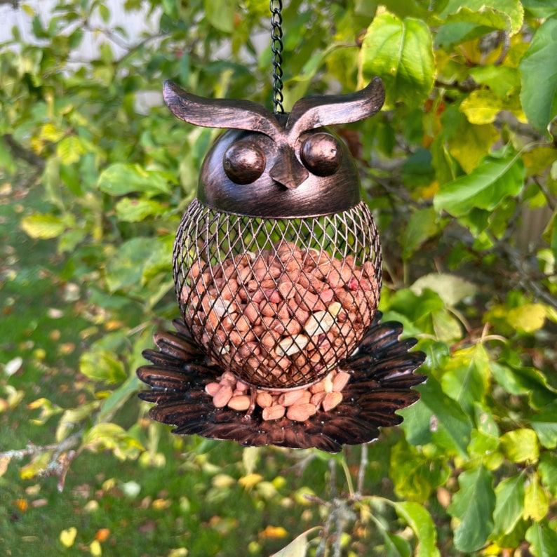 Mangeoire à oiseaux en fer en forme de hibou Décoration extérieure de jardin Mangeoire suspendue en métal rustique pour oiseaux Cadeau unique pour les amateurs d'oiseaux Cadeau jardin image 1