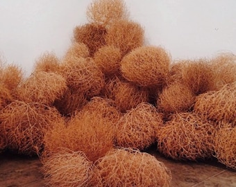 Wild West Tumbleweeds