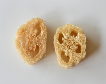 Eponges en luffa naturel pour la vaisselle ou le bain - Lot de 2