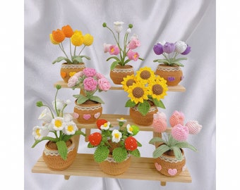 Crochet Flower in the Pot,Crochet Flower Decoration, Crochet Flower Decor, Sunflower,Daisy Pot,Home Decor, Mother's Day Gifts