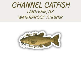 Lake Erie Channel Catfish sticker, fish stickers, freshwater decals, stickers for fisherman