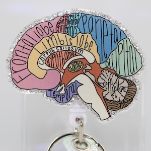 Può includere: Un porta badge in plastica trasparente con uno sfondo di glitter argentati che presenta un'illustrazione anatomica colorata del cervello umano. Il cervello è etichettato con i nomi delle sue diverse parti, tra cui il lobo frontale, il lobo parietale, il lobo temporale, il lobo occipitale, il lobo limbico, il corpo calloso e l'ipotalamo.