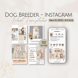 Chow Chow Dog Breeder Instagram Post Templates, Dogs Breeding Expert, Editable Social Media Professional Specialist Business Marketing Posts
