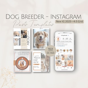 Plantillas de publicaciones de Instagram para criadores de perros Golden Retriever. Experto en cría de perros. Editable. Profesional en redes sociales. Especialista en marketing empresarial.