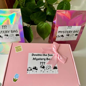 May include: A pink rectangular box with a light pink ribbon bow, labeled Double the fun Mystery Box ??? with a black and white flower graphic, a small blue tulip sticker, and a yellow reminder sticker, flanked by two iridescent mystery bags.