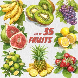 35 Aquarell Früchte Clipart | Apfel, Banane, Orange, Erdbeere, Ananas Illustrationen | PNG Grafiken, Sofort Download | Kommerzielle Nutzung