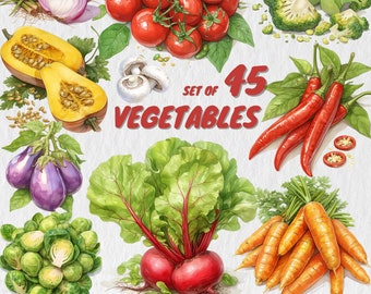 45 Watercolor Vegetables PNG Clipart Bundle, Tomato, Carrot, Corn, Painted Vegetable Illustrations, Farm Vegetables Clipart | Commercial Use