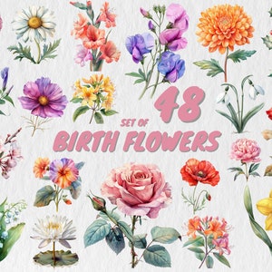 48 Birth Month Flower PNG Watercolor Birth Month Flower Clipart Birth Month Flower PNG Birth Flower PNG Bundle Birth Month Flowers Clipart