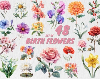 48 Birth Month Flower PNG Watercolor Birth Month Flower Clipart Birth Month Flower PNG Birth Flower PNG Bundle Birth Month Flowers Clipart