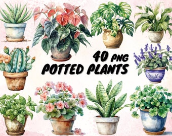 40 Watercolor House Plants Clipart - Watercolor Gardening Download - Instant Download - Philadendrum - Dangling Vines - Fern - Snake Plant