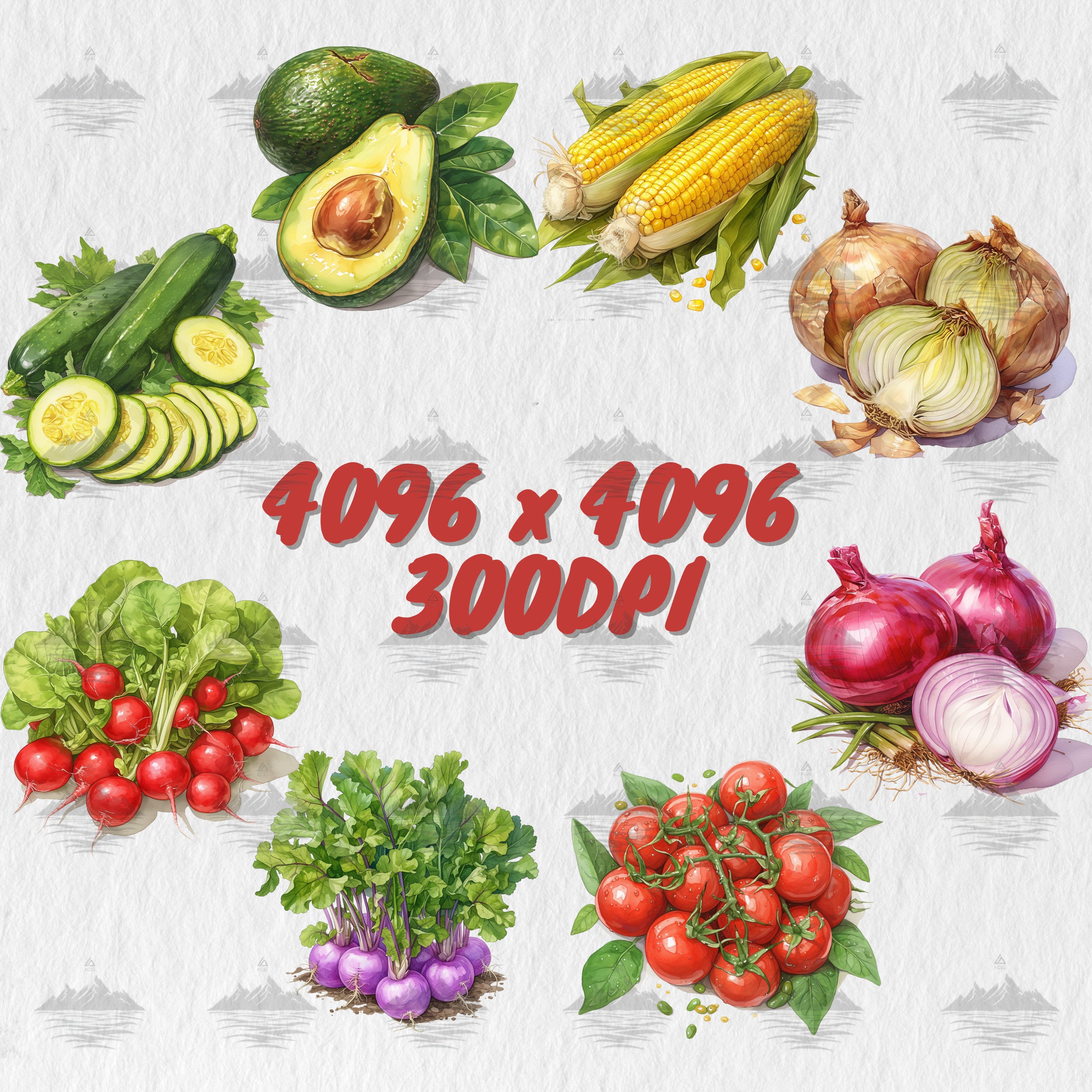 45 Watercolor Vegetables PNG Clipart Bundle, Tomato, Carrot, Corn ...